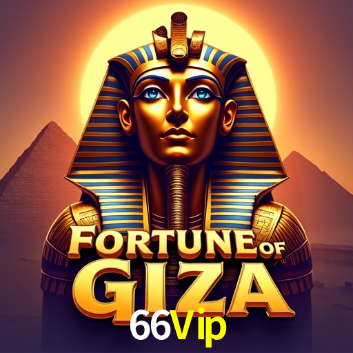 66Vip Bet